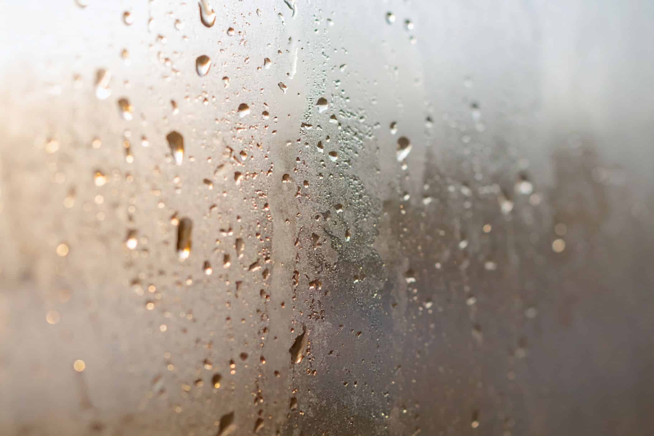 Shower 6