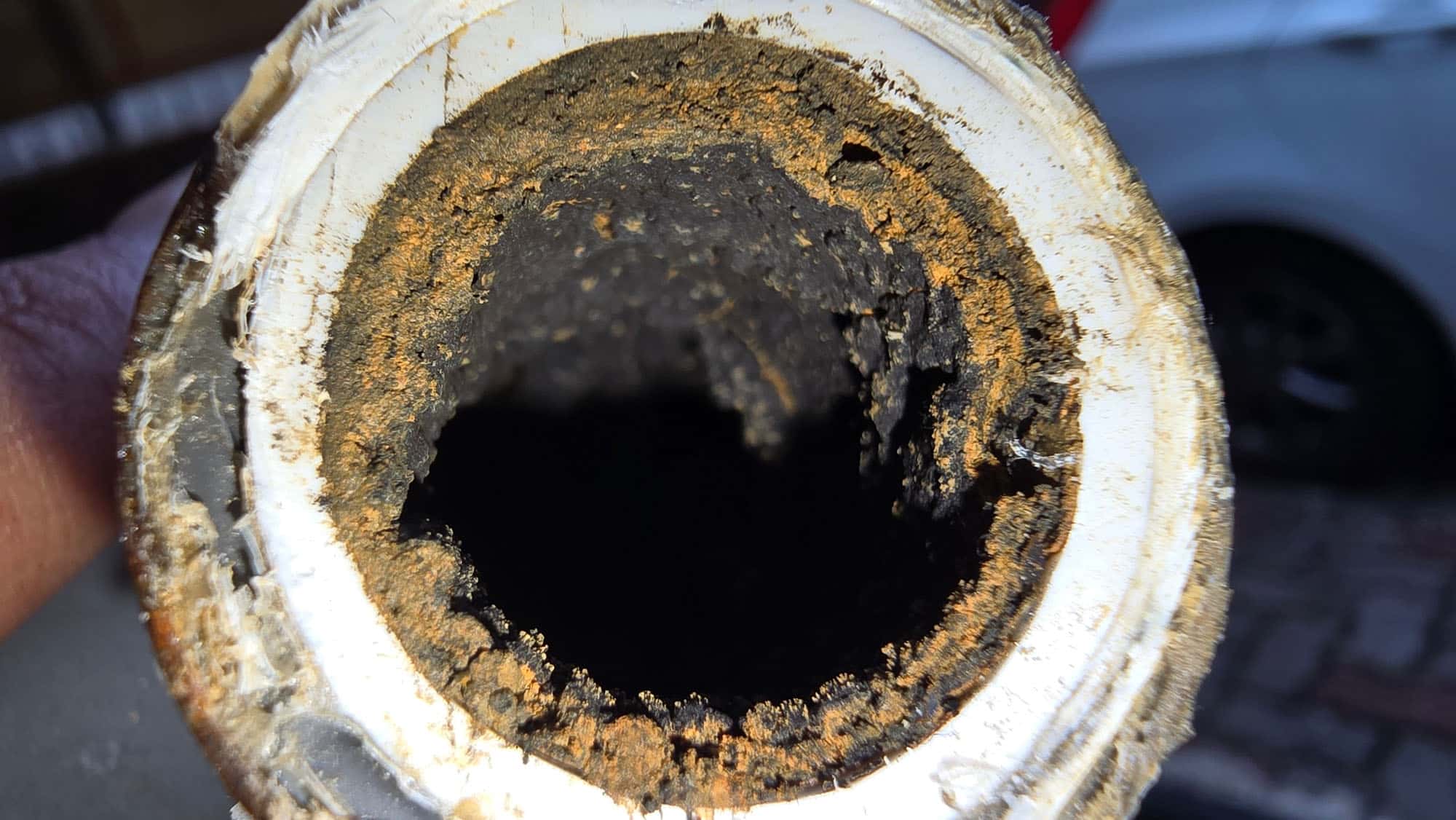 Bio Film in Pipe