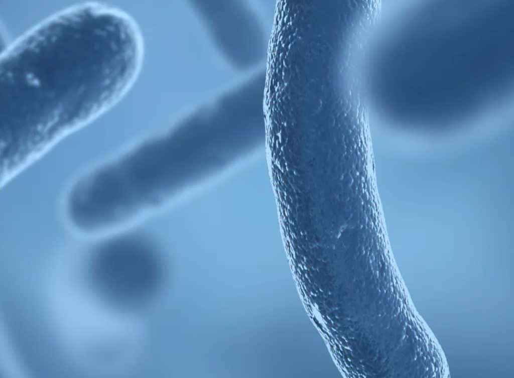 Waterborne Pathogen